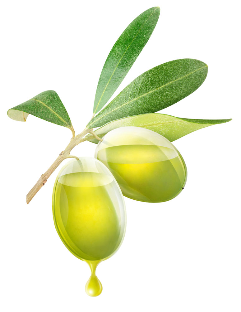 山东食用橄榄油