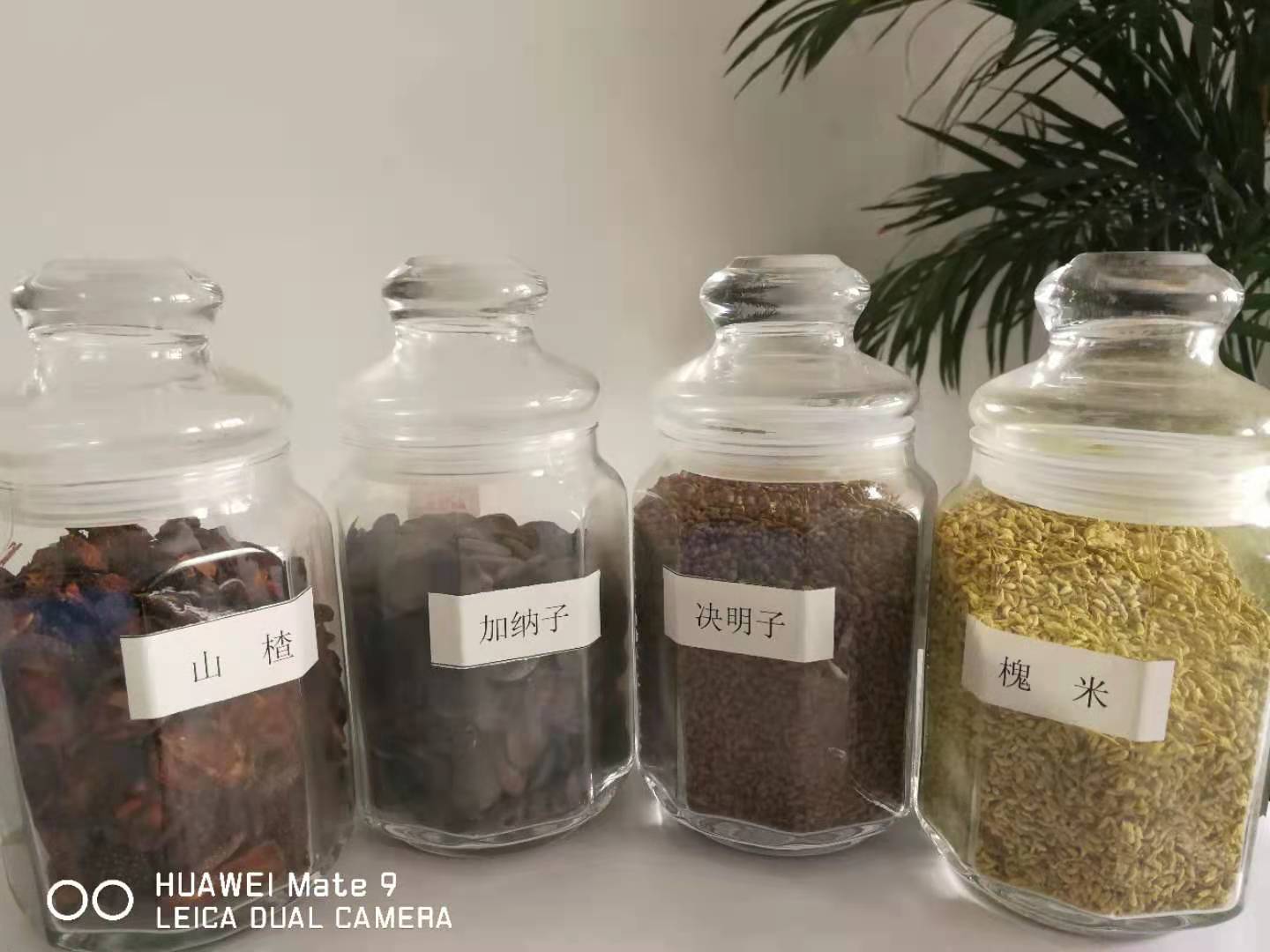 山东食用米糠油