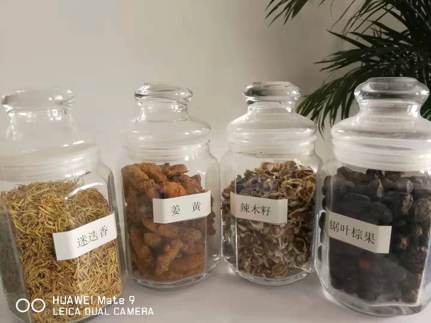 山东山茶籽油散油